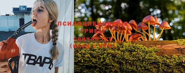 гидропоника Коряжма
