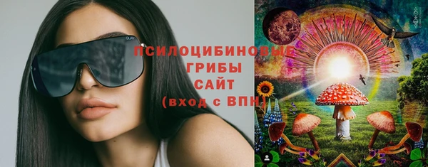 spice Костерёво