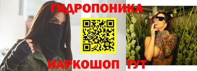 шишки Будённовск