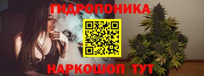 хмурый Дубна