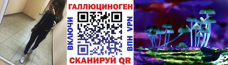 даркнет сайт Лыткарино Псилоцибиновые грибы Psilocybe