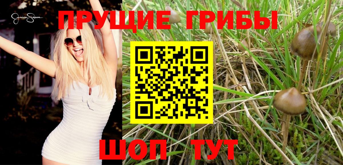 Псилоцибиновые грибы MAGIC MUSHROOMS Лыткарино