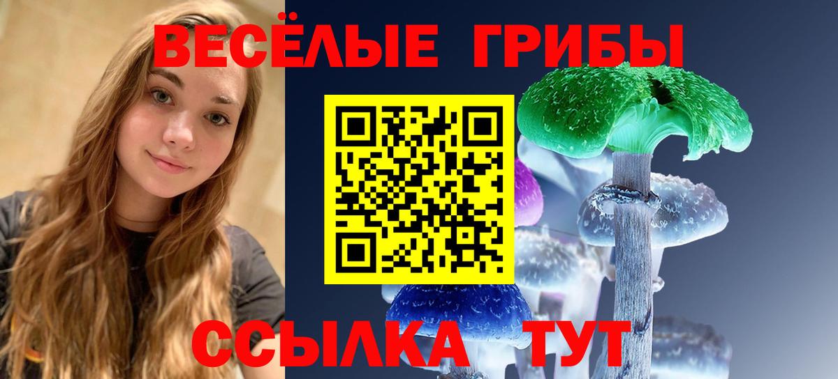 Псилоцибиновые грибы MAGIC MUSHROOMS Лыткарино