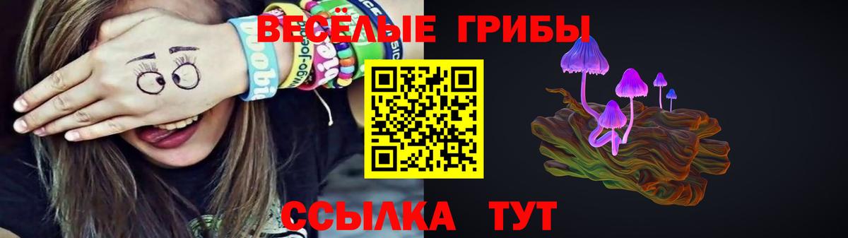 НБОМе Лыткарино